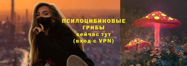 PSILOCYBIN Абдулино
