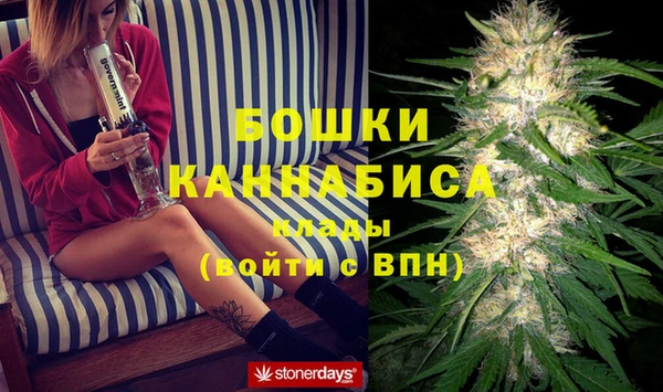 PSILOCYBIN Абдулино