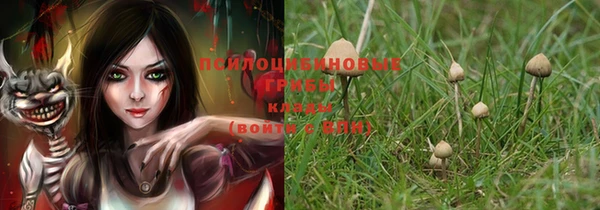 PSILOCYBIN Абдулино